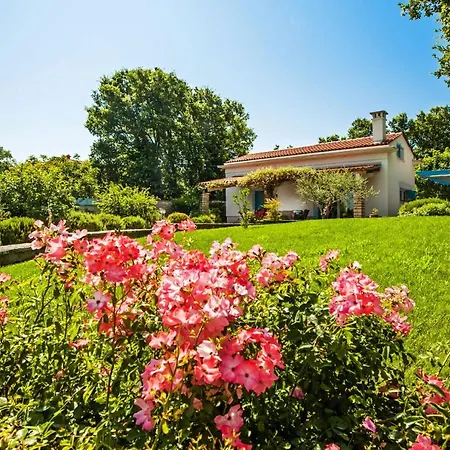Villa Ferenc